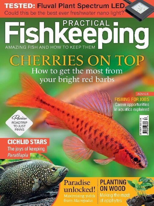 Title details for Practical Fishkeeping by Warners Group Publications Plc - Available